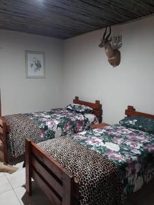 KomgaNgwenkala Game Lodge and Safaris的卧室配有两张床,墙上挂着鹿头