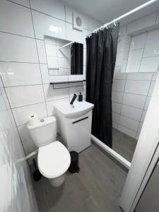 Newly renovated 1 bedroom flat with garden pergola的一间浴室