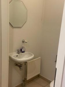 特尔菲伦La Clé des Champs的一间带水槽和镜子的浴室
