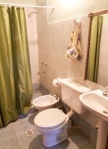 蒂尔卡拉Lo del Gaucho的浴室配有卫生间、盥洗盆和淋浴。
