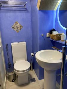 莫奈姆瓦夏MONOVASIA SUITES Anopolis的蓝色的浴室设有卫生间和水槽
