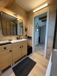 奥内姆Le 6B的一间带水槽和大镜子的浴室