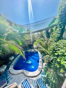 达喀尔Maison du Bonheur的享有棕榈树游泳池的顶部景致