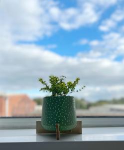 米德尔顿Cheerful 3 bedroom home with Netflix and Wi-Fi的绿花瓶,植物坐在窗台上
