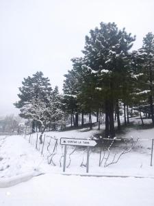 里奥帕尔Casa Rural Cortijo La Tapia的雪中的一个街道标志,背后有树木