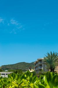 AltagraciaLD Suites Punta Playa的棕榈树和山底建筑