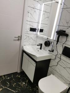 VoždivacGorila 1的一间带水槽、卫生间和镜子的浴室
