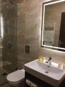扎赫勒La Place Hotel的一间带水槽、卫生间和镜子的浴室
