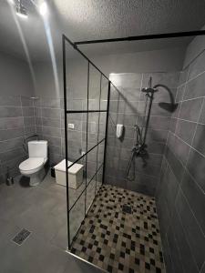 博尔塞克Casa de vacanță Cheșa的一间带卫生间和玻璃淋浴间的浴室