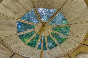 RogersvilleThe Aries-a stargazing, luxury glamping tent的从玻璃圆顶内方可欣赏到风景