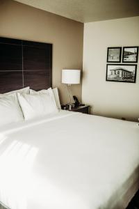 国际瀑布城Cobblestone Hotel & Suites International Falls的卧室配有白色大床和灯