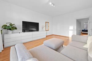 柏林Beautiful 80sqm Appartment in Berlin-Mitte的带沙发和电视的客厅