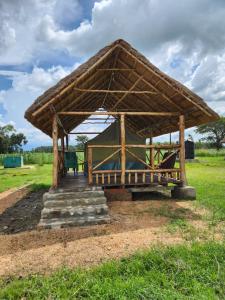 KihihiIshasha Pride Lodge的木亭,在田野上设有长凳