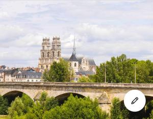 奥尔良Cosy Loire, T2 neuf, front de Loire ,vue cathédrale,5min à pied centre ville et parking privé的一座建有建筑物的城市前方的桥梁