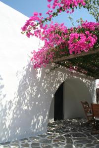 伊奥斯乔拉Petra Holiday Village的种植园里花粉红色的建筑物