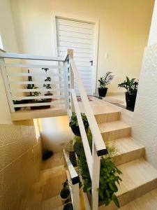 萨尔瓦多Apartamento encantador em salvador的拥有一束盆栽植物的楼梯