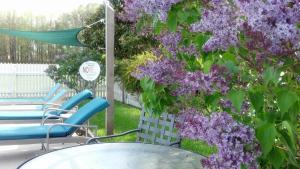 Rock HallInn at Huntingfield Creek的紫色的灌木丛,带椅子和桌子,还有一棵树