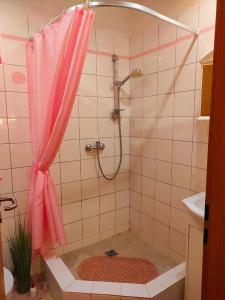 利托梅日采Pension Relax-Hvězdička的带淋浴和粉红色浴帘的浴室