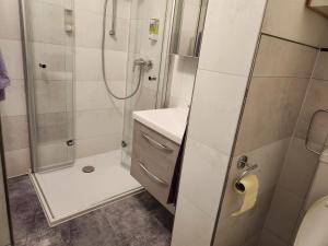 韦尔斯Apartment的带淋浴、盥洗盆和卫生间的浴室