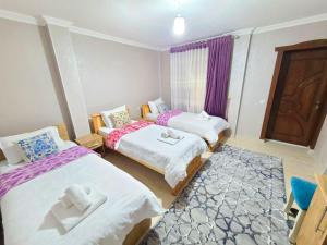 撒马尔罕Samarkand City Center Hotel的一间卧室设有两张床和一个带紫色窗帘的窗户。