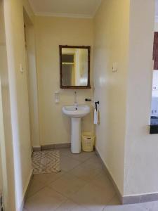 基利菲Alpha Homes的一间带水槽和镜子的浴室