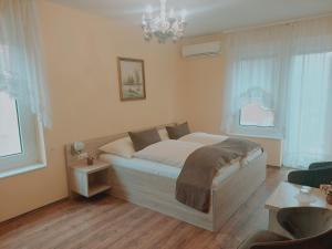 莫雄马扎尔古堡全景酒店的一间卧室配有一张大床和一个吊灯。
