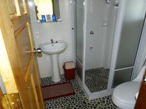 AgpudlosBlue Seastar Cottages的带淋浴和盥洗盆的浴室