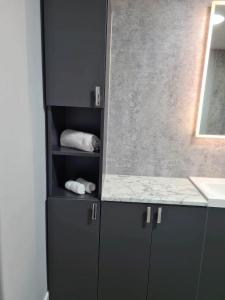 斯特灵Forth View Apartment的浴室设有灰色橱柜和台面