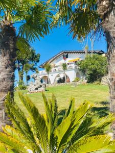 普埃尔托德尔松Casa A Colina的棕榈树下的房屋景色