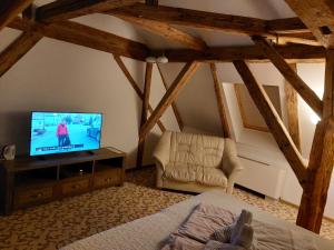 托普拉河畔弗拉诺夫Majerovský kaštieľ的一间卧室配有一张床,并在一间客房内配有电视。