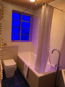 伦敦Beautiful Quality Apartment in Camden Town的带浴缸、卫生间和窗户的浴室