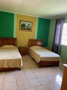 巴拿马城Canal Inn B&B Panama的两张床位于带绿色和黄色墙壁的客房