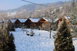 RichkaRiver Cottage Complex的雪地里的小木屋,有雪覆盖的树木