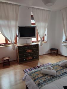 布拉索夫RETRO HOUSE的一间卧室设有平面电视和一张床。