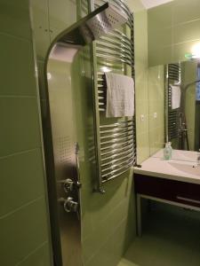 布拉索夫RETRO HOUSE的带淋浴、水槽和镜子的浴室