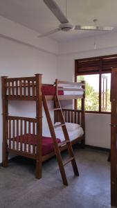 拉维尼亚山搭车背包客旅馆的带吊扇的客房内的两张双层床