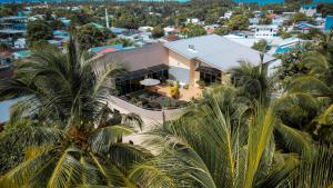 科卢马杜卢Blue Wave Hotel Maldives for SURF, FISHING and Beach的棕榈树房屋的空中景致