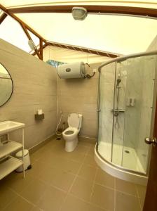 彭亨Canopy Villa Nuang Hill的一间带卫生间和玻璃淋浴间的浴室