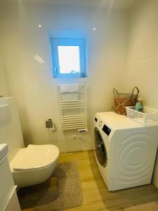 马斯梅赫伦Prachtig guesthouse met gratis parkeren的一间带洗衣机和卫生间的浴室