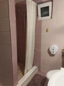 泽尔内什蒂Vila Georgeta的带淋浴、卫生间和盥洗盆的浴室
