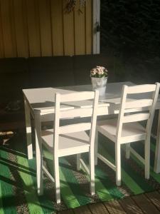 赫尔辛基Mummon saunamökki的白色的桌子和椅子,上面有盆栽植物