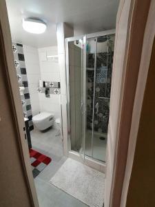 BruyèresChambres d'Hôtes de l'Avison的带淋浴和卫生间的浴室