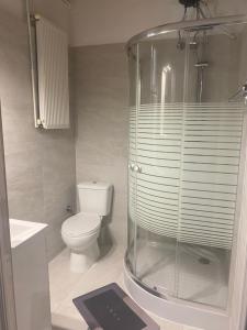 帕莱欧卡斯提撒Villa Stephanie的一间带卫生间和玻璃淋浴间的浴室