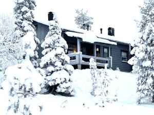 库萨莫Vuosselin Kuura (2 mh + tilava parvi)的前面有雪覆盖的树木的房子
