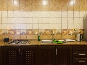 阿杰隆Green house的厨房配有水槽和炉灶