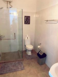 库塔Villa Cantik Kuta Regency的一间带卫生间和玻璃淋浴间的浴室