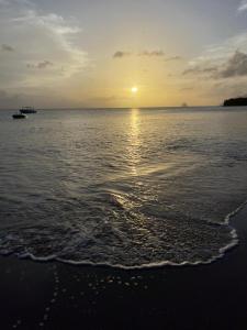圣吕斯Tropik-Appart - Studio的海滩上的日落,在水中乘船