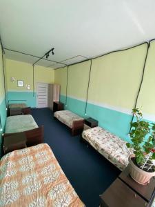 阿斯塔纳miniGостиница的一间设有三张床的房间和盆栽