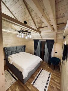 科拉欣Chalet Montenegrina with jacuzzi的一间卧室配有一张床,并在一间客房内配有电视。