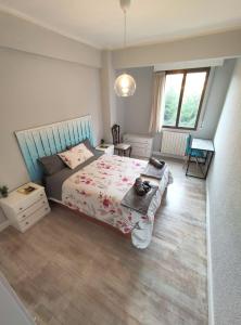 毕尔巴鄂Apartamento Mavi的一间卧室配有一张床和一张桌子